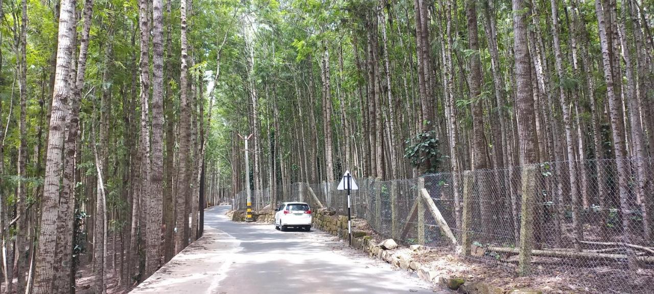 Istays - Loop Road, Єркауд Екстер'єр фото